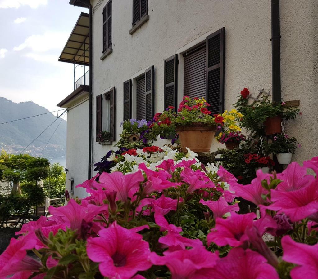 Ferienwohnung Flora Moltrasio Exterior foto