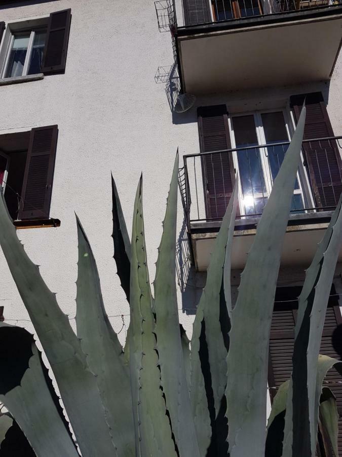 Ferienwohnung Flora Moltrasio Exterior foto
